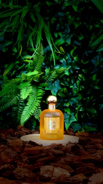 Image de Mango Punch