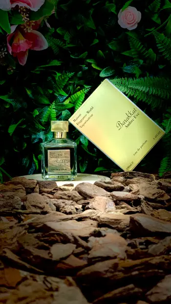 Image de Barakkat Ambre Eve