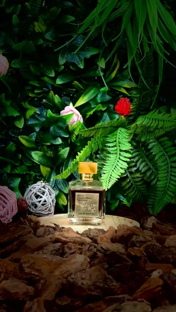 Image de Barakkat Gentle Gold