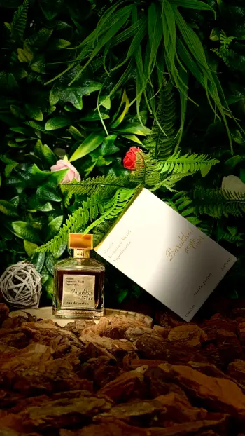 Image de Barakkat Gentle Gold